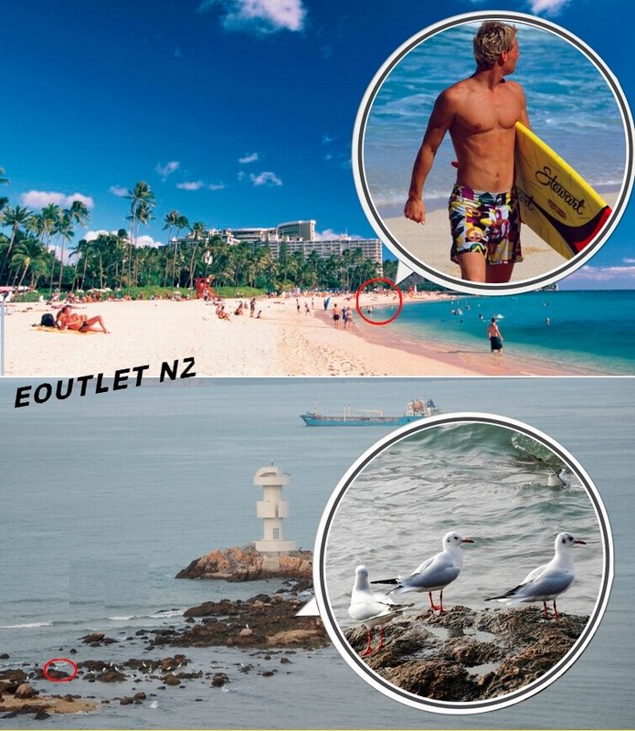 BOSMA 10x50 Hunting Binoculars Large Diameter High Clarity PL Se