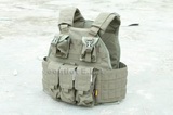 Emerson USMC Style SPC MOLLE Armor Vest RG